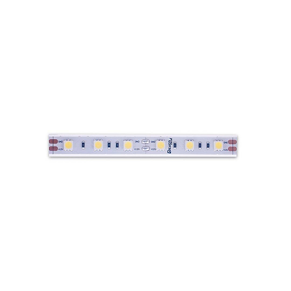 Светодиодная лента DesignLed DSG560-12-W-65 000518
