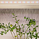 Светодиодная лента Эра FITO-Strip Light-Rа90-3m Б0059881