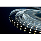 Светодиодная лента DesignLed DSG560-24-W-33 000520