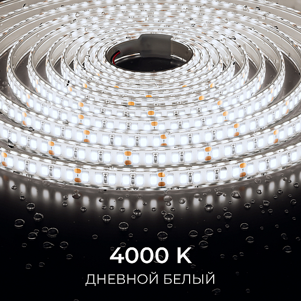 Светодиодная лента Apeyron 24В, 12 Вт/м, 1000 лм/м, 4000К, smd2835, 180 д/м, IP65, 5м 00-448