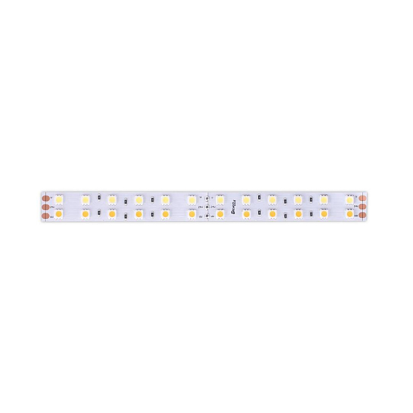 Светодиодная лента DesignLed DSG5120-24-W+WW-33 000515