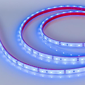 Светодиодная лента герметичная Arlight RTW-PFS-A60-11mm 12V Blue (4.8 W/m, IP68, 2835, 5m) 034012