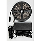 Светодиодная лента Feron 14,4W/m 60LED/m 5050SMD 6500K 3M LS606 27720