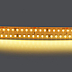 Светодиодная лента Lightstar 30W/m 280LED/m теплый белый 5M 422003