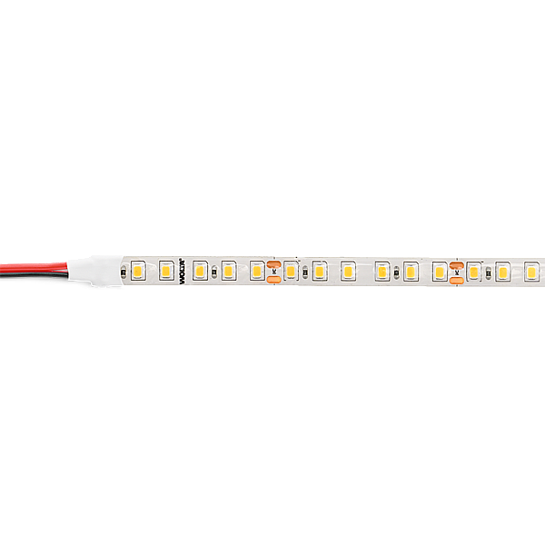 Светодиодная лента WOLTA WLS2835-12W/6500/24S120-01