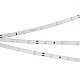 Светодиодная лента Arlight RT-A30-8mm 24V Cool 8K (2.9 W/m, IP20, 2835, 5m) (2.9 Вт/м, IP20) 019916(2)