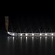 Светодиодная лента Elektrostandard 4,8W/m 60LED/m 2835SMD дневной белый 5M 4690389169267 a052954
