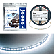 Светодиодная лента Feron 11W/m 120LED/m 2835SMD 6500К 5M свободный рез LS506 53059