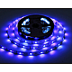 Светодиодная лента Ambrella Light 13W/m 90LED/m 5050+2835SMD RGB+белый 5M GS4501