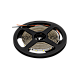Светодиодная лента SWG SWG2P60-24-4.8-W 005270