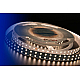 Светодиодная лента DesignLed DSG5120-24-WW-33 000523