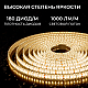 Светодиодная лента Apeyron 12W/m 180LED/m 2835SMD теплый белый 5M 00-447
