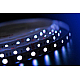 Светодиодная лента DesignLed DSG560-12-RGB-33 000603
