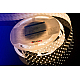 Светодиодная лента DesignLed DSG2280-24-WW-33 000533