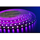 Светодиодная лента DesignLed DSG560-12-RGB-33 000603