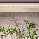 Светодиодная лента для растений Эра FITO-Strip Light-Rа90-27W-3m-12V-IP65 4000K Б0064597