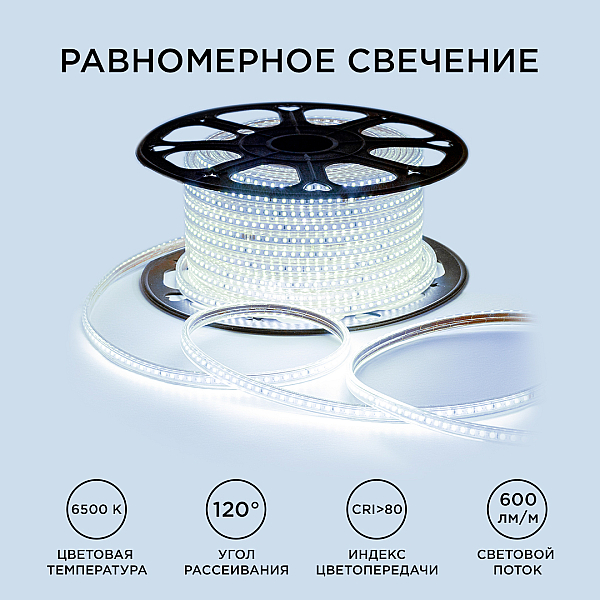 Светодиодная лента OGM Эконом 220В 2835 7Вт/м 6500К 50м IP65 O17-09