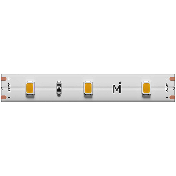 Светодиодная лента Maytoni Led Strip 5м 201162