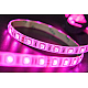 Светодиодная лента SWG SWG560-24-14.4-RGB-65-M 009273