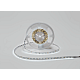 Светодиодная лента Designled 2835 6000K 5м DSG2120-9.6-24-W-33 00-00037465
