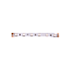 Светодиодная лента DesignLed DSG560-24-RGB-33 001653