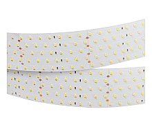 Светодиодная лента Arlight RT 2-2500 24V Day4000 5x2 (2835, 875 LED, LUX) 019081(B)
