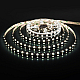 Светодиодная лента Elektrostandard 24V 14,4W 60Led 5050 IP20 холодный белый, Black, 5м 4690389172205