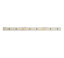 Светодиодная лента Feron LS511 24В 2835 11Вт/м 3000К 5м IP65 51634
