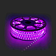 Светодиодная лента Apeyron 220В 12Вт/м smd5050 60д/м IP65 аксессуарами RGB 10-51