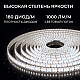 Светодиодная лента Apeyron 24В, 12 Вт/м, 1000 лм/м, 4000К, smd2835, 180 д/м, IP65, 5м 00-448