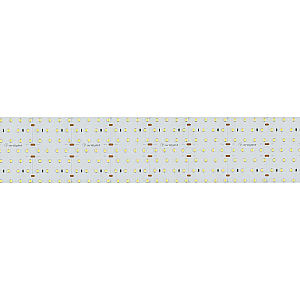 Светодиодная лента Arlight S2-A560-85mm 24V Warm3000 (40 W/m, IP20, 2835, 2.5m) 021211(2)