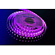 Светодиодная лента DesignLed DSG5120-24-RGB+W-33 000514
