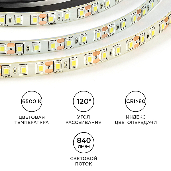 Светодиодная влагозащищенная лента OGM 12В 2835 9,6Вт/м 6500К 840Лм/м 5м IP65 LSE-261