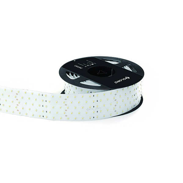 Светодиодная лента DesignLed DSG2350-24-NW-33 000594