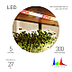 Светодиодная лента для растений Эра FITO-Strip Light-Rа90-300LED-5m-12V-IP65 4000K Б0064591