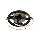 Светодиодная лента SWG SWG2P60-24-4.8-W 005270