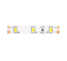 Светодиодная лента Maytoni Technical 12В 2835 4,8Вт/м 6000K IP65 10107