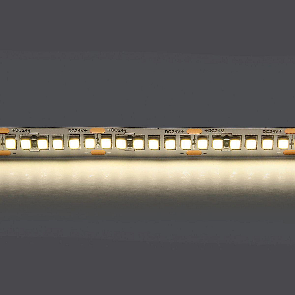 Светодиодная лента Lightstar 24W/m 240LED/m дневной белый 5M 421024