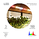 Светодиодная лента для растений Эра FITO-Strip Light-Rа90-27W-3m-12V-IP65 4000K Б0064597