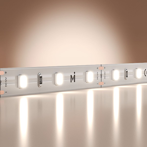 Светодиодная лента Maytoni Led Strip 5м 201164