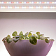 Светодиодная лента Эра FITO-Strip Light-Rа90-3m Б0059881