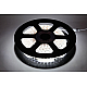 Светодиодная влагозащищенная лента ЭРА 4,8W/m 60LED/m 5050SMD 6500K 20M LS2835-4,8-60-220-6500К-IP67-20m Б0043095