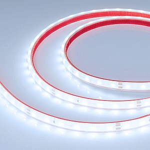 Светодиодная герметичная лента Arlight RTW-PFS-A60-11mm 24V Cool 8K (4.8 W/m, IP68, 2835, 5m) 034180