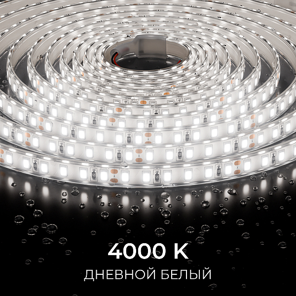 Светодиодная лента Apeyron 24В, 9,6 Вт/м, 800 лм/м, 4000К, smd2835, 120 д/м, IP65, 5м 00-442