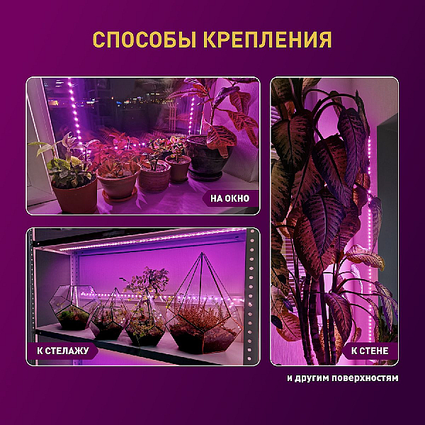 Светодиодная лента для растений Эра 18Вт 1400K 2м IP65 FITO-Strip Light-RB-2m красно-синего спектра Б0057282