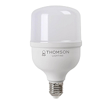Лампа светодиодная Thomson E27 50W 6500K цилиндр матовый TH-B2366