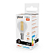 Лампа светодиодная Gauss Filament Elementary E14 12W 2700K 52112