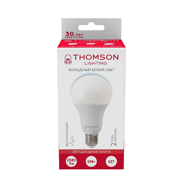 Лампа светодиодная Thomson E27 24W 6500K груша матовая TH-B2353