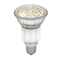 Лампа светодиодная Kanlux LED48 E14 2,5W 6200-6800К 8925