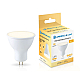 Светодиодная лампа MR16 13W 2700K Ambrella light Bulding 161303